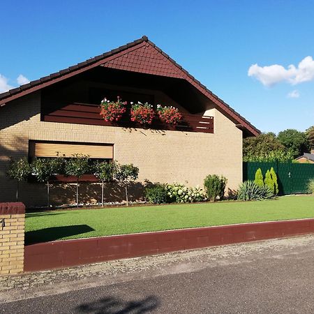 Ferienwohnung / Monteurswohnung In Ruhiger Waldlage Borghees Ngoại thất bức ảnh