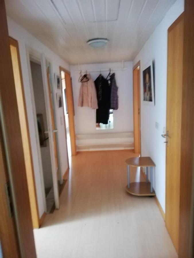 Ferienwohnung / Monteurswohnung In Ruhiger Waldlage Borghees Ngoại thất bức ảnh